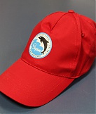 Футболки Кепки Бейсболки